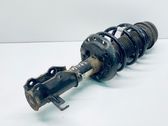 Front shock absorber with coil spring