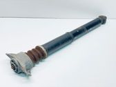 Stoßdämpfer hinten