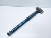 Stoßdämpfer hinten