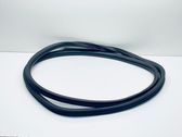 Rear door rubber seal (on body)