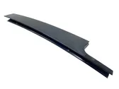 Rear door glass trim molding