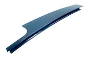 Rear door glass trim molding