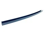 Rear door glass trim molding