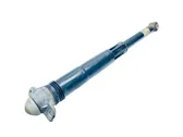 Rear shock absorber/damper