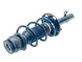 Front shock absorber with coil spring