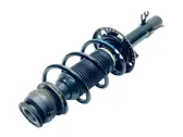 Front shock absorber with coil spring