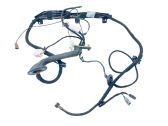 Tailgate/trunk wiring harness