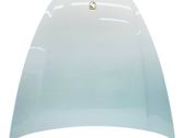 Engine bonnet/hood