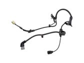 Cableado del sensor ABS trasero