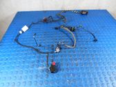Front door wiring loom