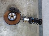Front shock absorber/damper