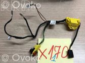 Other wiring loom