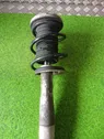 Rear shock absorber with coil spring