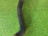 Durite de refroidissement tube