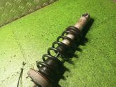 Rear shock absorber/damper