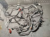 Faisceau de câblage pour moteur