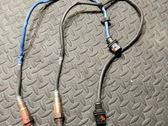 Sonde lambda