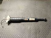 Rear shock absorber/damper