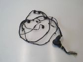 Other wiring loom