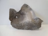 Exhaust heat shield