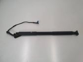 Tailgate/trunk strut/damper