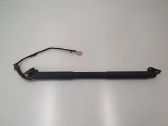 Tailgate/trunk strut/damper
