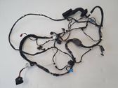 Front door wiring loom