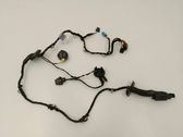 Front door wiring loom
