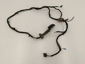 Rear door wiring loom