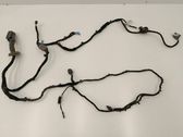 Front door wiring loom