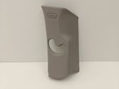 (C) pillar trim