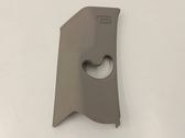 (C) pillar trim