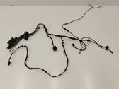 Front door wiring loom