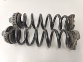Rear coil spring