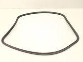 Trunk rubber seal (body)