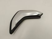 Rear door trim (molding)