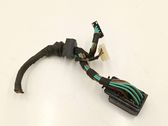 Other wiring loom