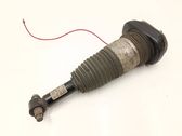 Air suspension rear shock absorber