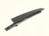Rear door glass trim molding