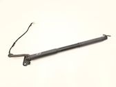 Tailgate/trunk strut/damper