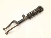 Front shock absorber with coil spring