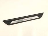 Front sill trim cover