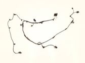Other wiring loom