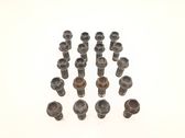 Nuts/bolts