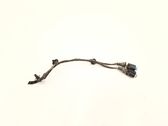 Other wiring loom