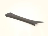(A) pillar trim
