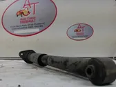 Rear shock absorber/damper