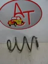 Rear coil spring