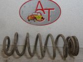 Muelle espiral trasero