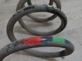Feder hinten